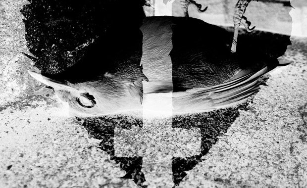 DJ Muggs Crosses his Heart Hoping to Die – cover