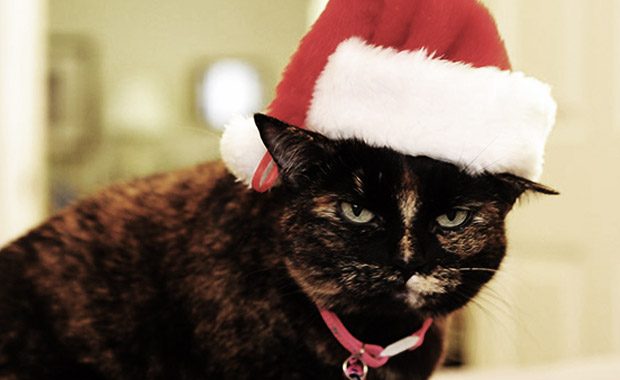 Christmas Carol of the day: How Sean Price Stole Christmas – cover