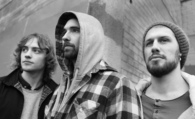 More Like Trees – Roots, Shooots & Leaves – cover