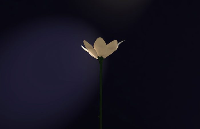 Murlo – Jasmine EP – cover