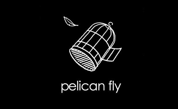 Pelican Fly – Feathers – cover