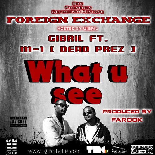 What You See (Remix Contest) – cover