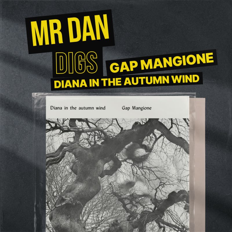 Mr Dan digs Gap Mangione ‘Diana In The Autumn Wind’ cover
