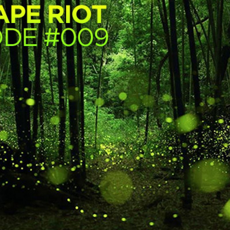 Mixtape Riot 09 cover