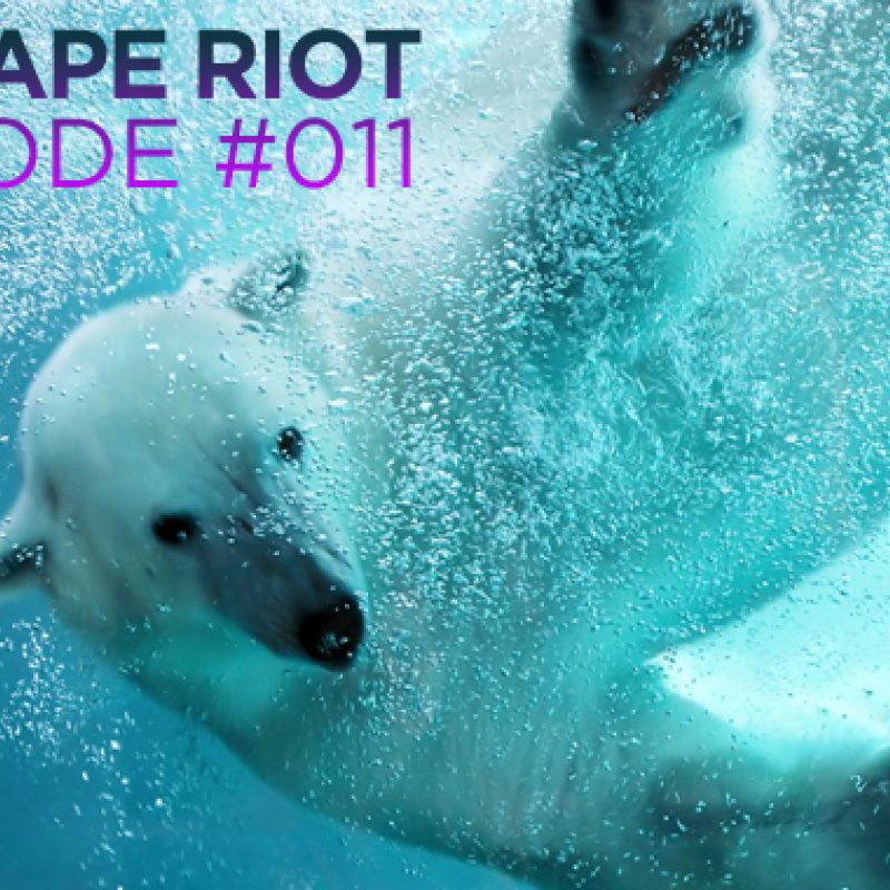 Mixtape Riot 11 cover