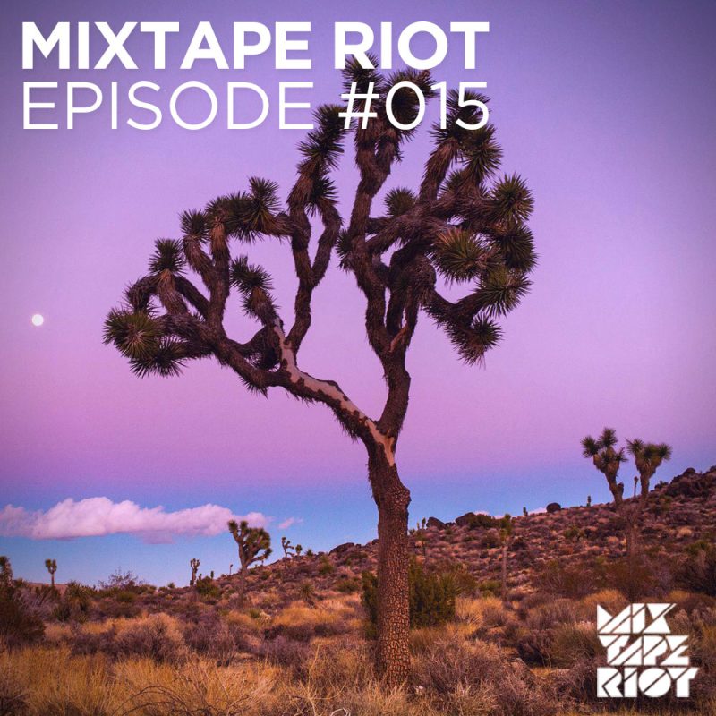 Mixtape Riot #15 cover