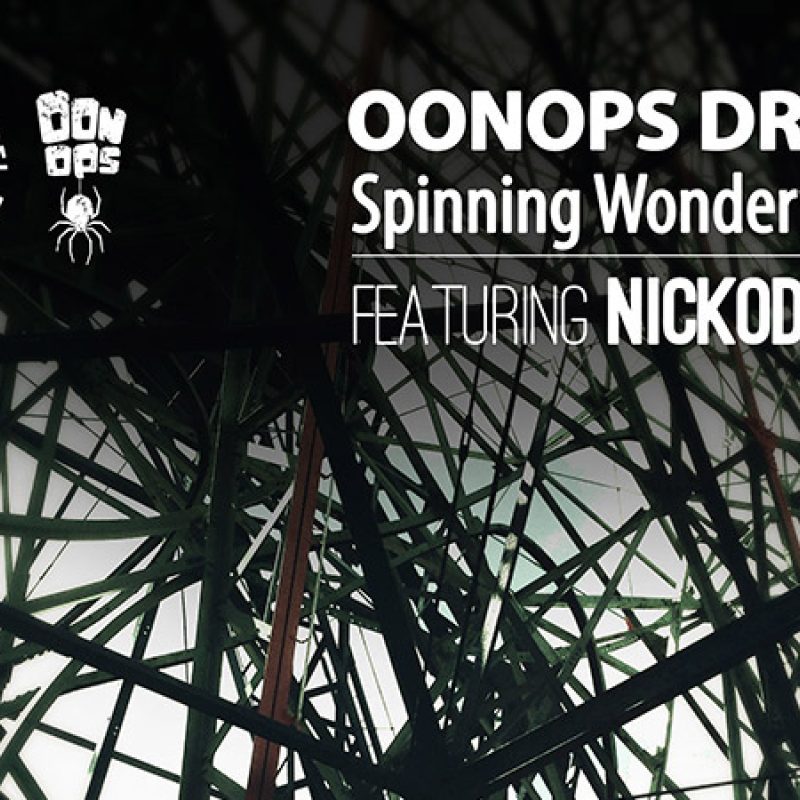 Spinning Wonderwheel cover