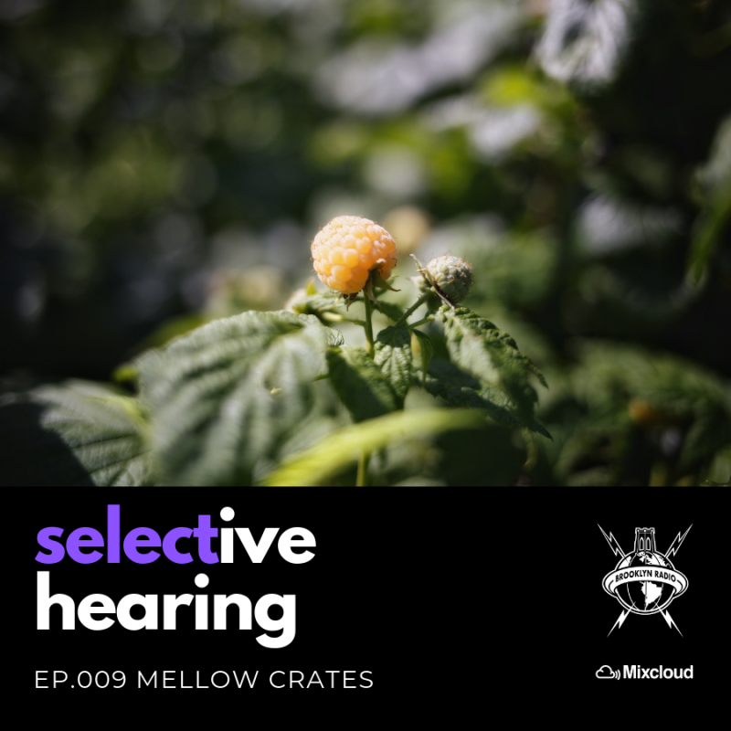 Selective Hearing Episode 009 – Mellow Crates cover